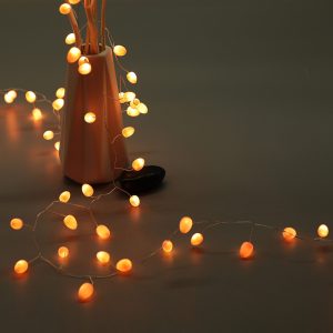 Fairy Light with Seed Decoration