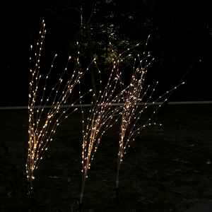 Indoor Landscape Light